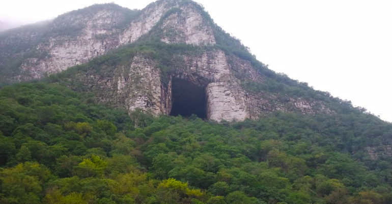 cueva-murcielagos