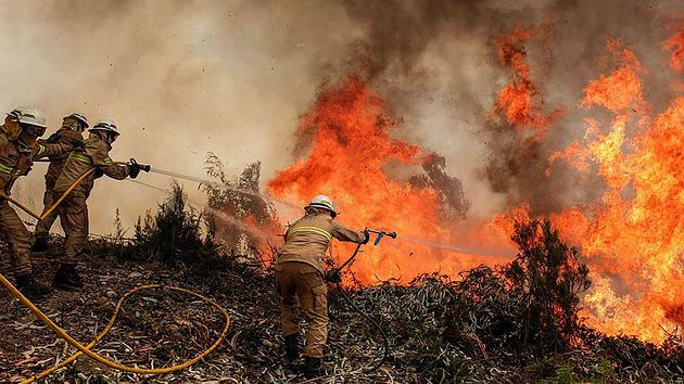 incendios-forestales-nuevo-leon