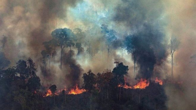 amazonas-incendio-bolsonaro-macron