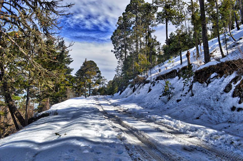 cerro-del.potosi-2