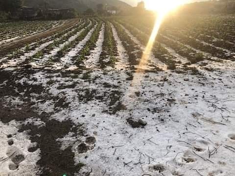 zaragoza-granizada