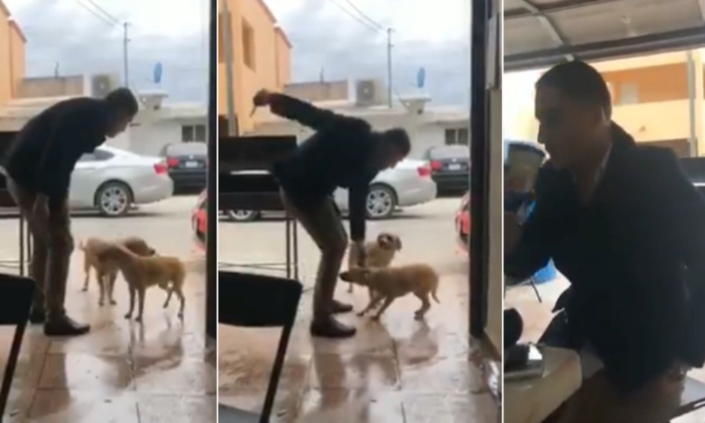 busca-piedras-negras-accion-legal-contra-asesino-de-perros