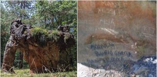 piedra-elefante-familia-regia