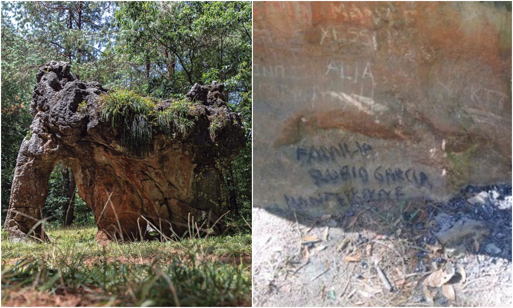 piedra-elefante-familia-regia