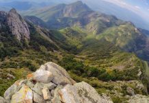 sierra-de-picachos-pedrera