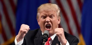 trump-patrulla-fronteriza-mexico