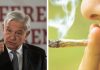 Va AMLO por la legalización de la marihuana