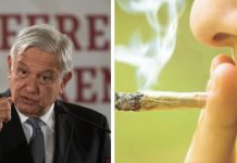Va AMLO por la legalización de la marihuana