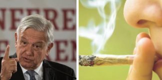 Va AMLO por la legalización de la marihuana