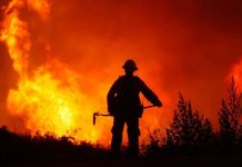 incendios-forestales-nuevo-leon