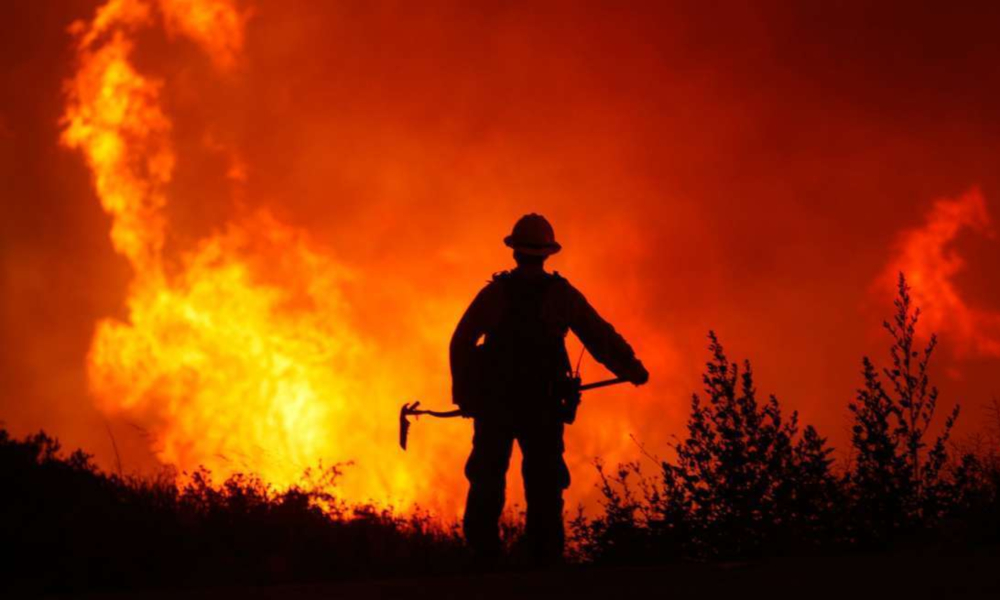 incendios-forestales-nuevo-leon