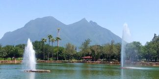 patos-lago-parque-fundidora