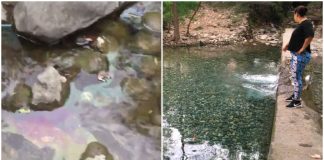 rio-la-silla-contaminacion
