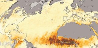 tolvanera-desierto-del-sahara