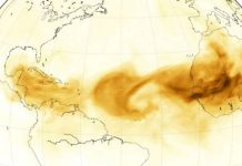 tormenta-del-desierto-del-sahara-nuevo-leon-monterrey