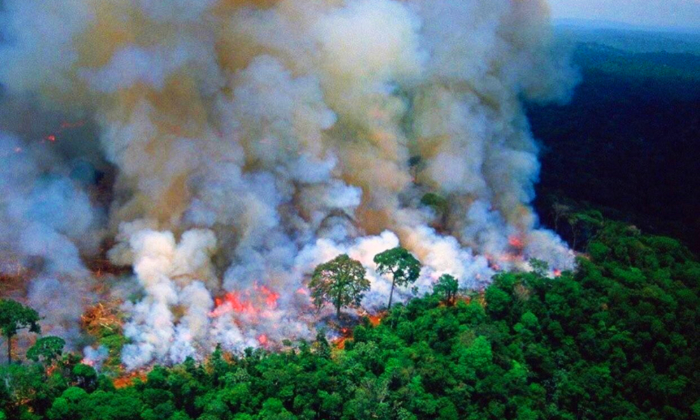amazonas-incendio