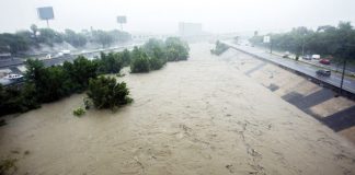 fernand-tormenta-gilberto-alex-monterrey