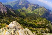 sierra-de-picachos-nuevo-leon