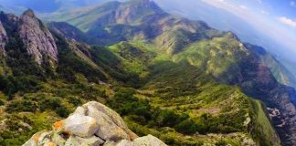 sierra-de-picachos-nuevo-leon