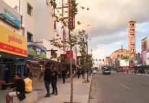arborizacion-juarez
