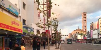 arborizacion-juarez