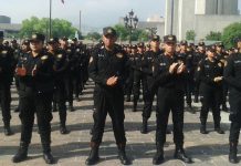 Fuerza Civil NL