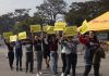 Activistas veganos irrumpen en evento de carne asada