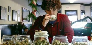catador-marihuana-