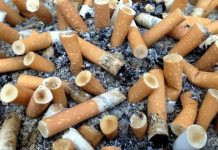 colillas de cigarro multa-nuevo leon-monterrey