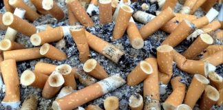 colillas de cigarro multa-nuevo leon-monterrey