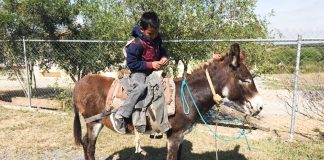 nino-linares-escuela-burro