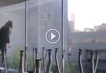 video-intento-suicidio-monterrey