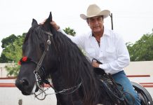 BRONCO cabanas galenana pablillo