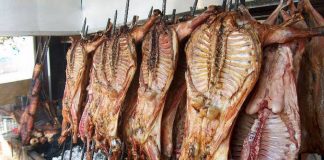 cabrito