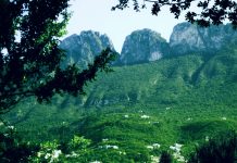 sierra-madre-chipinque