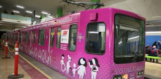 vagon rosa metro mtrorrey