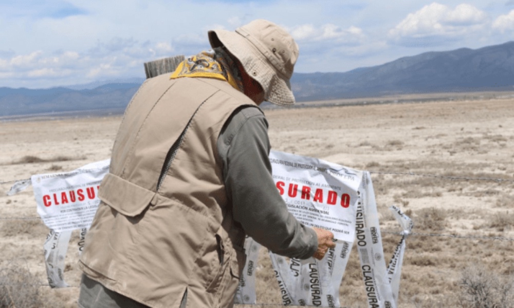 Ponen alto a ecocidio en Galeana