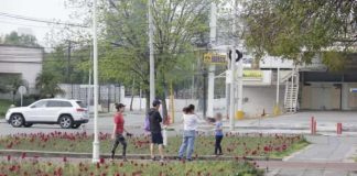 Sampetrinos desafían al coronavirus