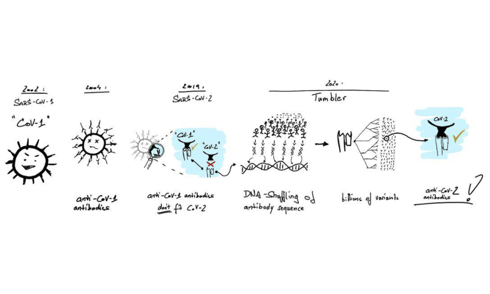 coronavirus-COVID-19 (1)