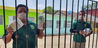 maseca-covid-19