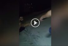 video-asalto-topo-chico-monterrey