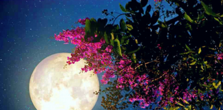 ¿Estás listo para ver la superluna de mayo?