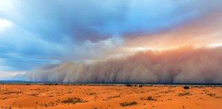 ¡Alerta! Nube de polvo del Sahara llega hoy a México