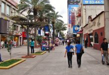 Celebraremos un Día del Padre con pocos regalos, afirma Canaco