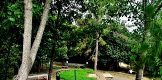 Parque Chipinque se queda sin ahorros: busca solventar gastos por COVID-19