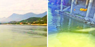Agua de la presa La Boca ¡se pinta de verde!