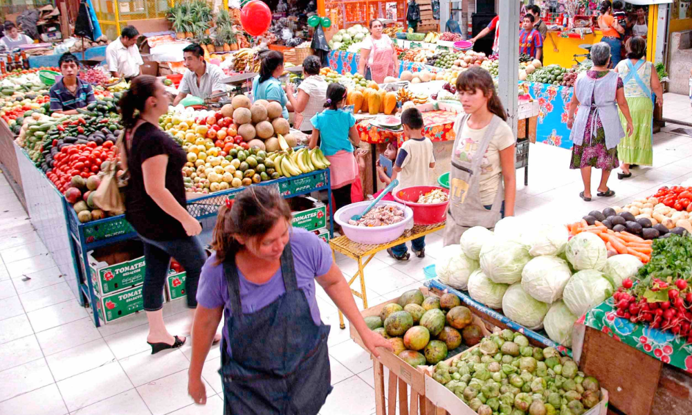 canasta-básica-lujo