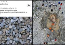 Sorprenden en redes con venta de “piedras milagrosas”
