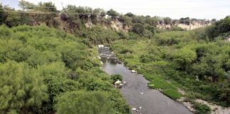 ¡Alerta! Denuncian olores fétidos en río Pesquería