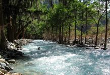 Pagarán 15 mil pesos por encender fogata en Río Ramos